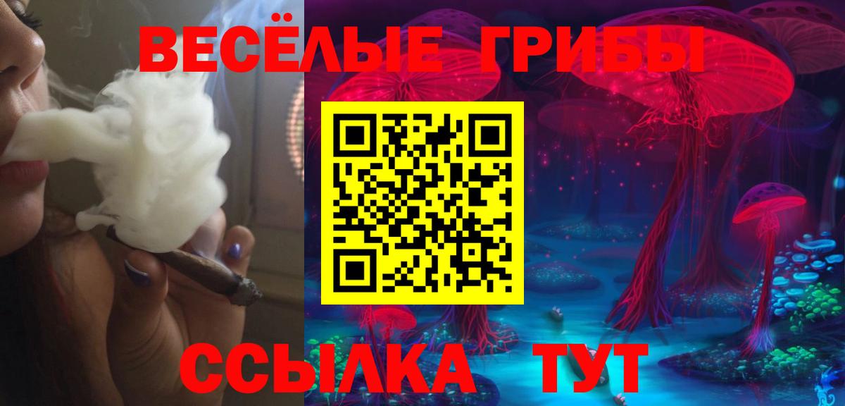 Иваново  Галлюциногенные грибы Psilocybe  Вход с VPN 